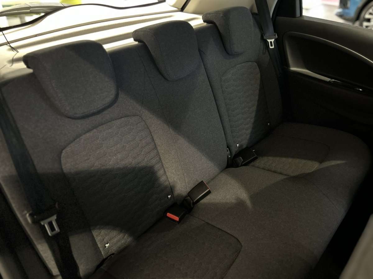 Fahrzeugbild eines Renault ZOE