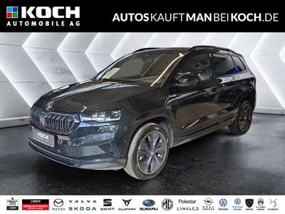 Bild Skoda Karoq