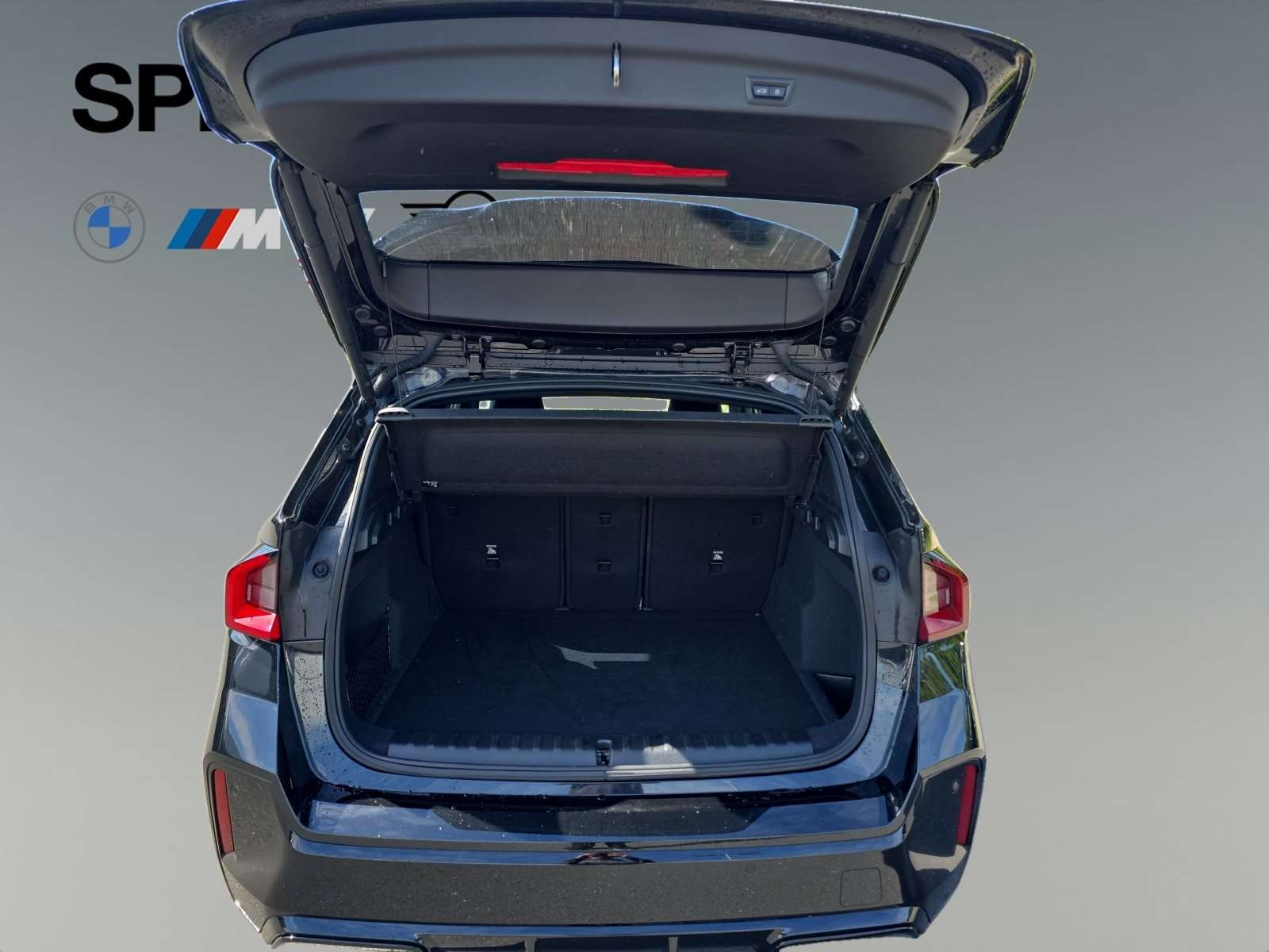 Fahrzeugbild eines BMW X1