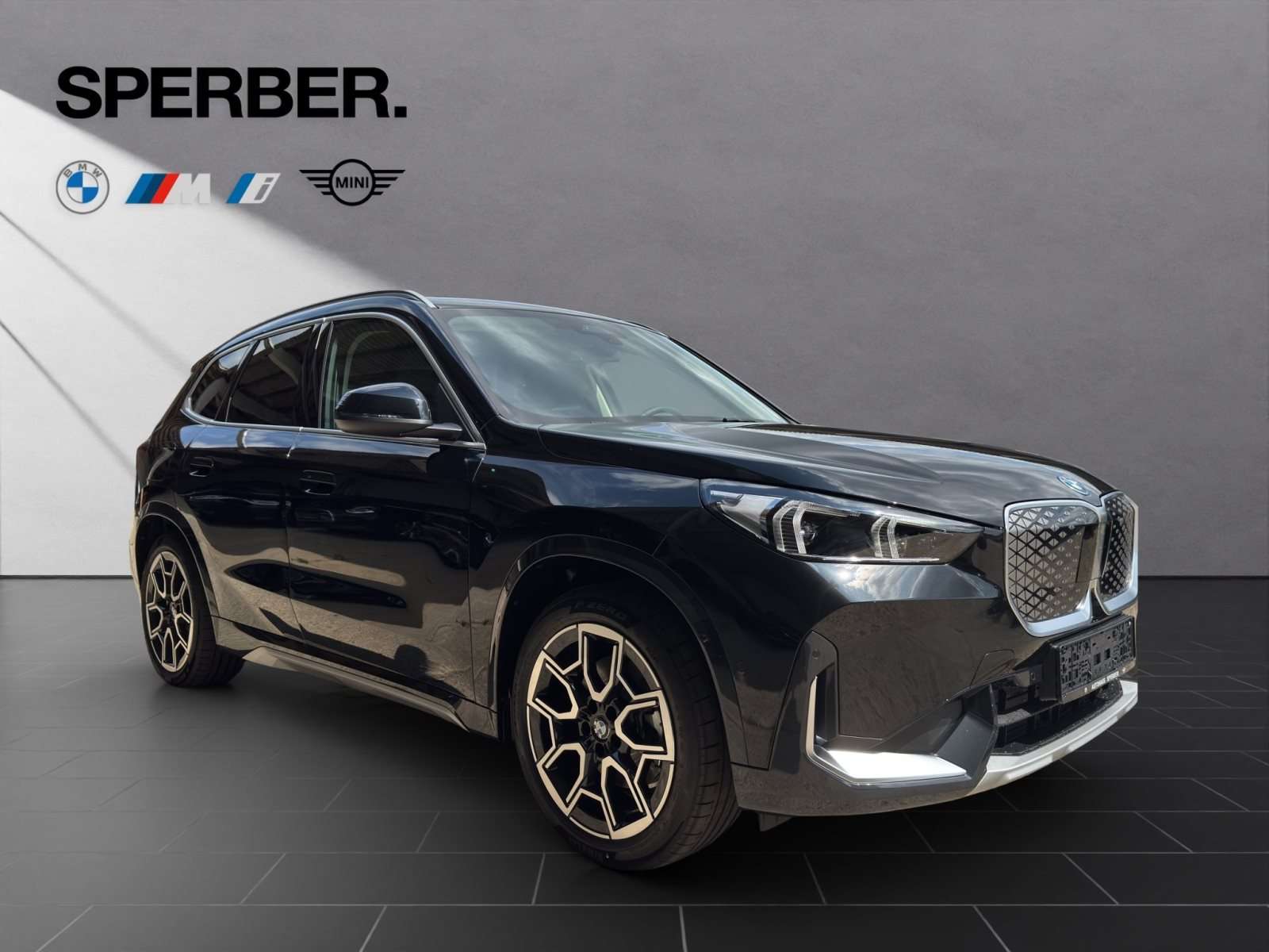 Fahrzeugbild eines BMW iX1
