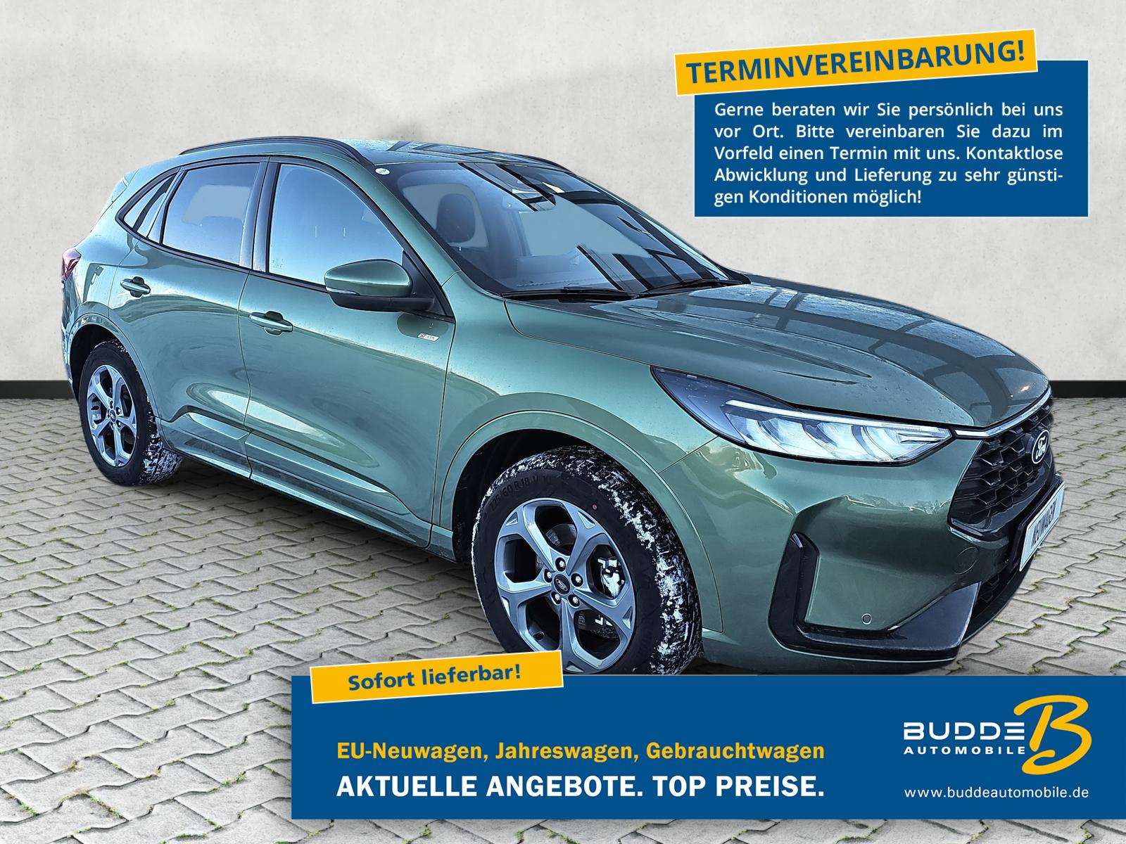 Fahrzeugbild eines Ford Kuga