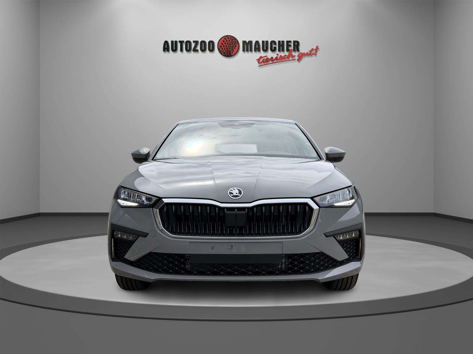 Fahrzeugbild eines Skoda Scala