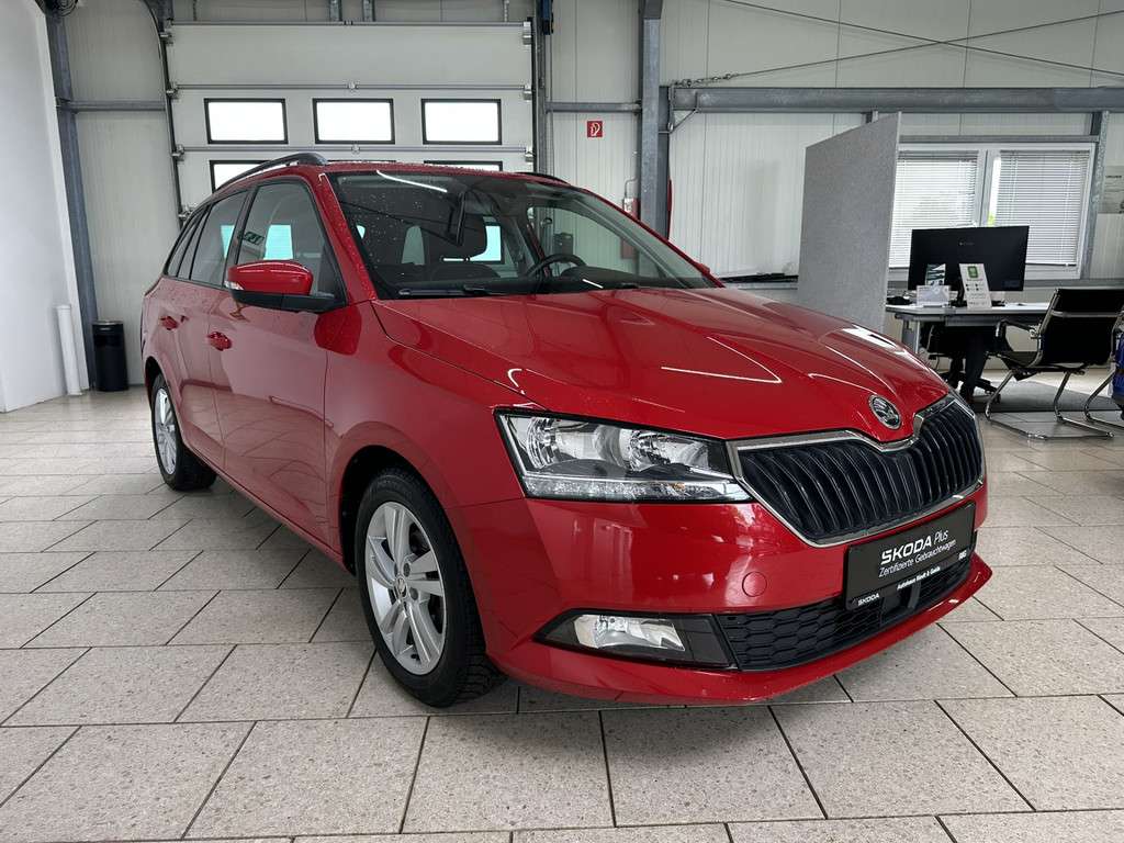 Fahrzeugbild eines Skoda Fabia