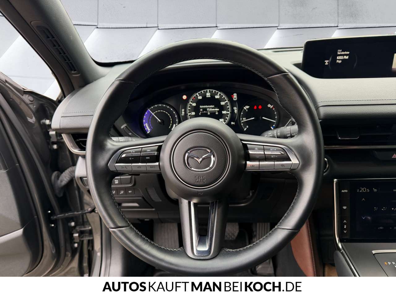 Fahrzeugbild eines Mazda MX-30
