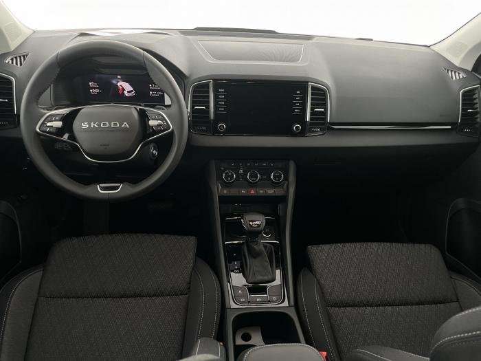 Fahrzeugbild eines Skoda Karoq