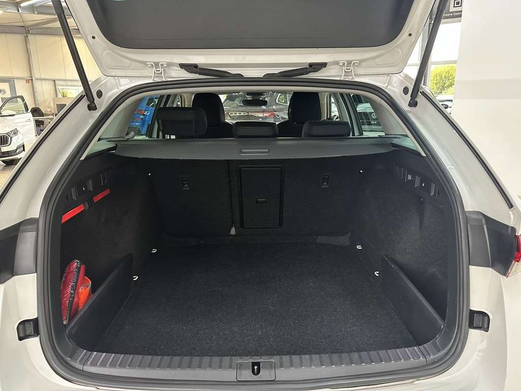 Fahrzeugbild eines Skoda Octavia