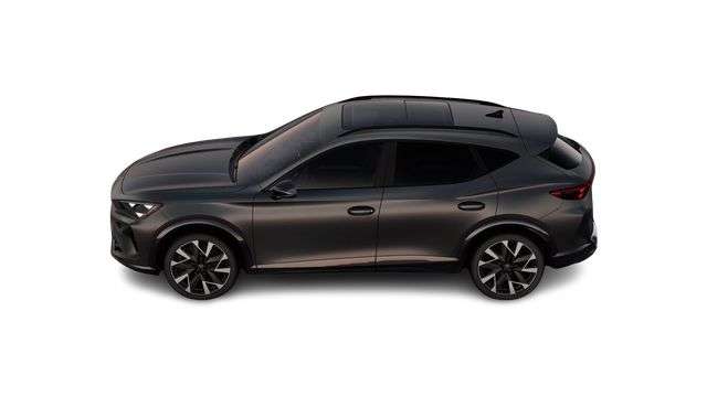 Fahrzeugbild eines CUPRA Formentor