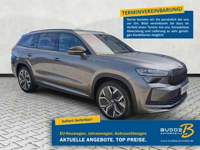 Bild Skoda Kodiaq