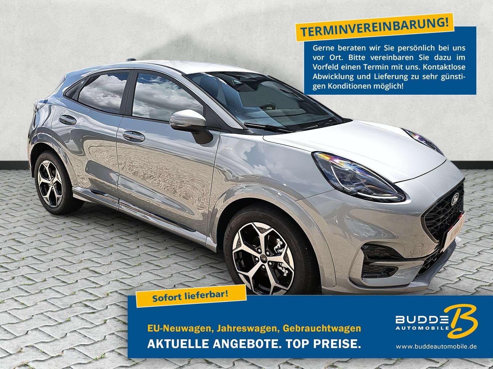 Fahrzeugbild eines Ford Puma