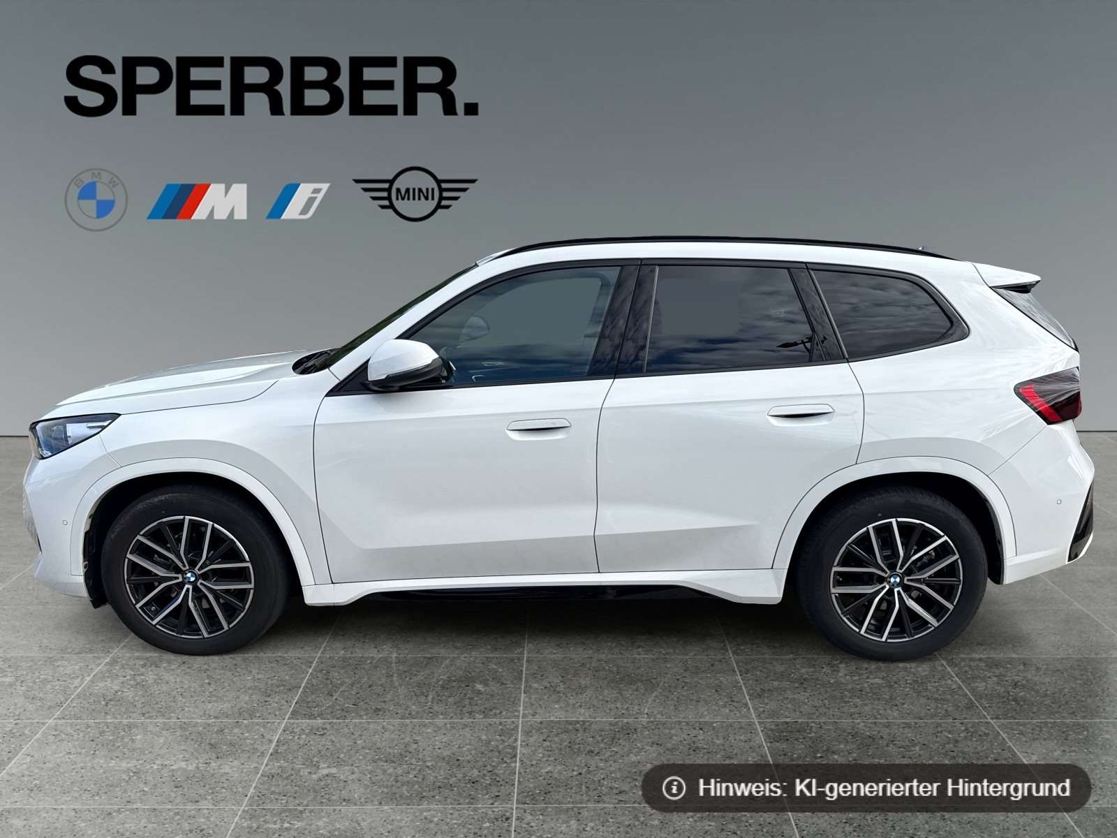 Fahrzeugbild eines BMW X1