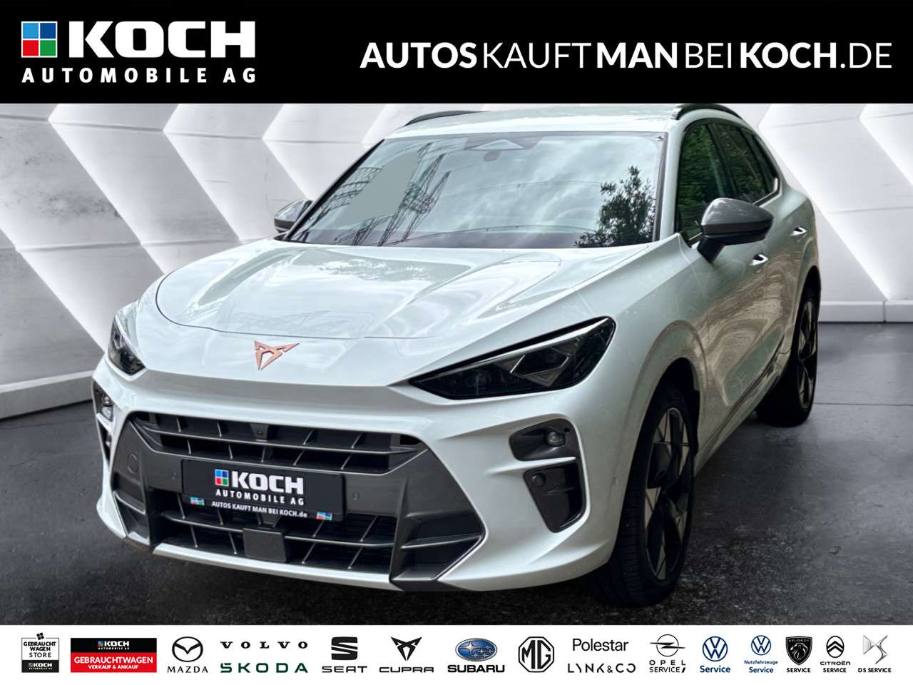 Fahrzeugbild eines CUPRA Terramar