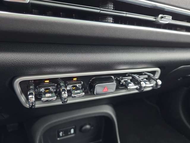 Fahrzeugbild eines GWM Ora 03