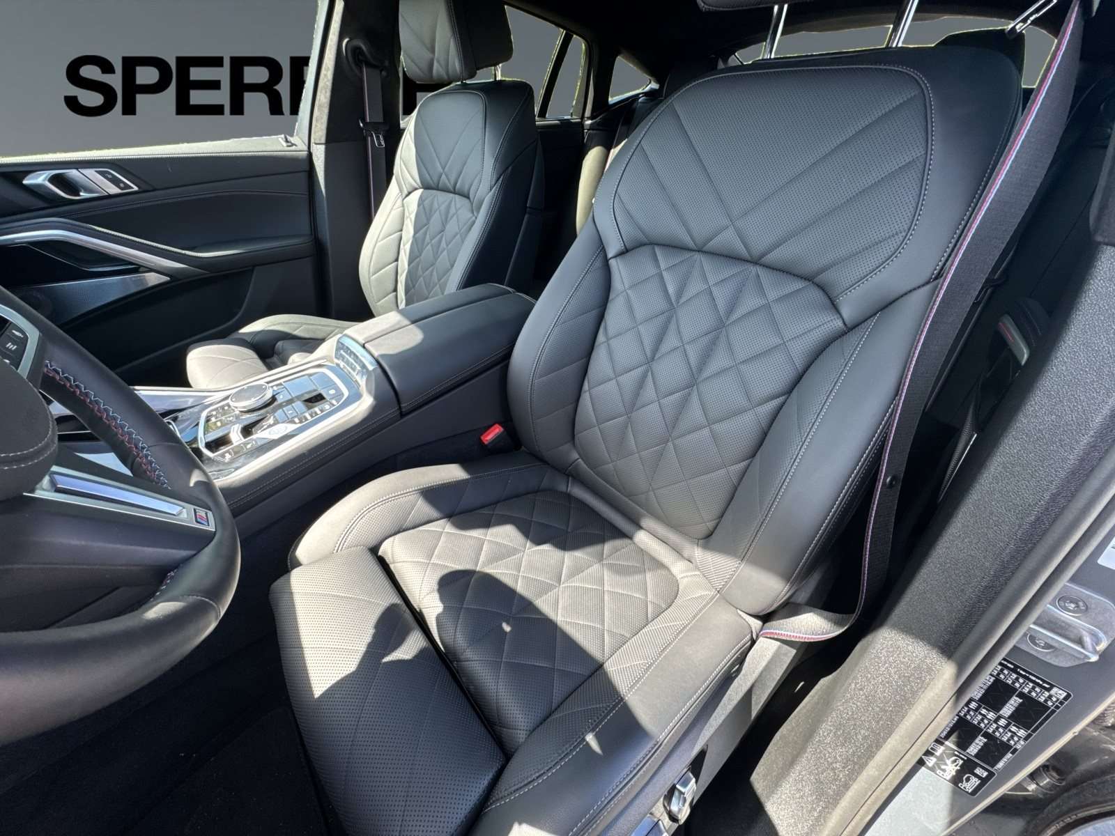 Fahrzeugbild eines BMW X6