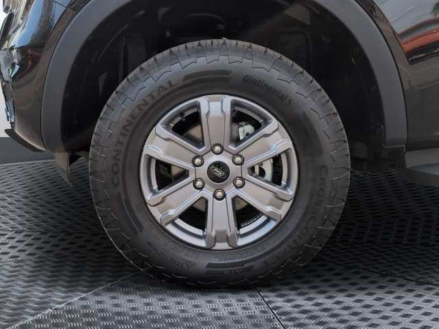 Fahrzeugbild eines Ford Ranger