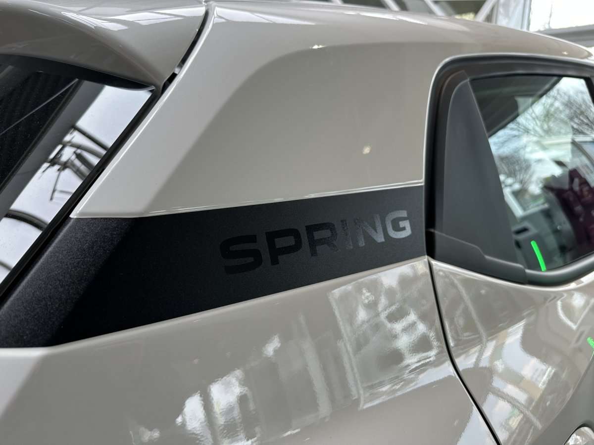 Fahrzeugbild eines Dacia Spring