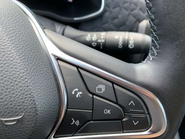 Fahrzeugbild eines Renault ZOE