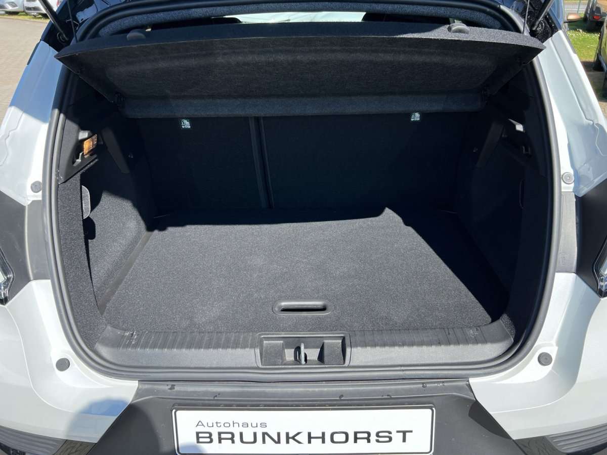 Fahrzeugbild eines Renault Captur