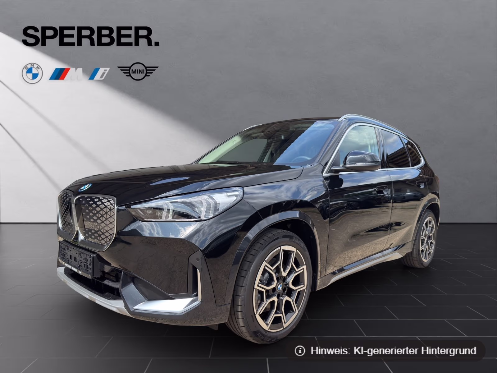 Fahrzeugbild eines BMW iX1