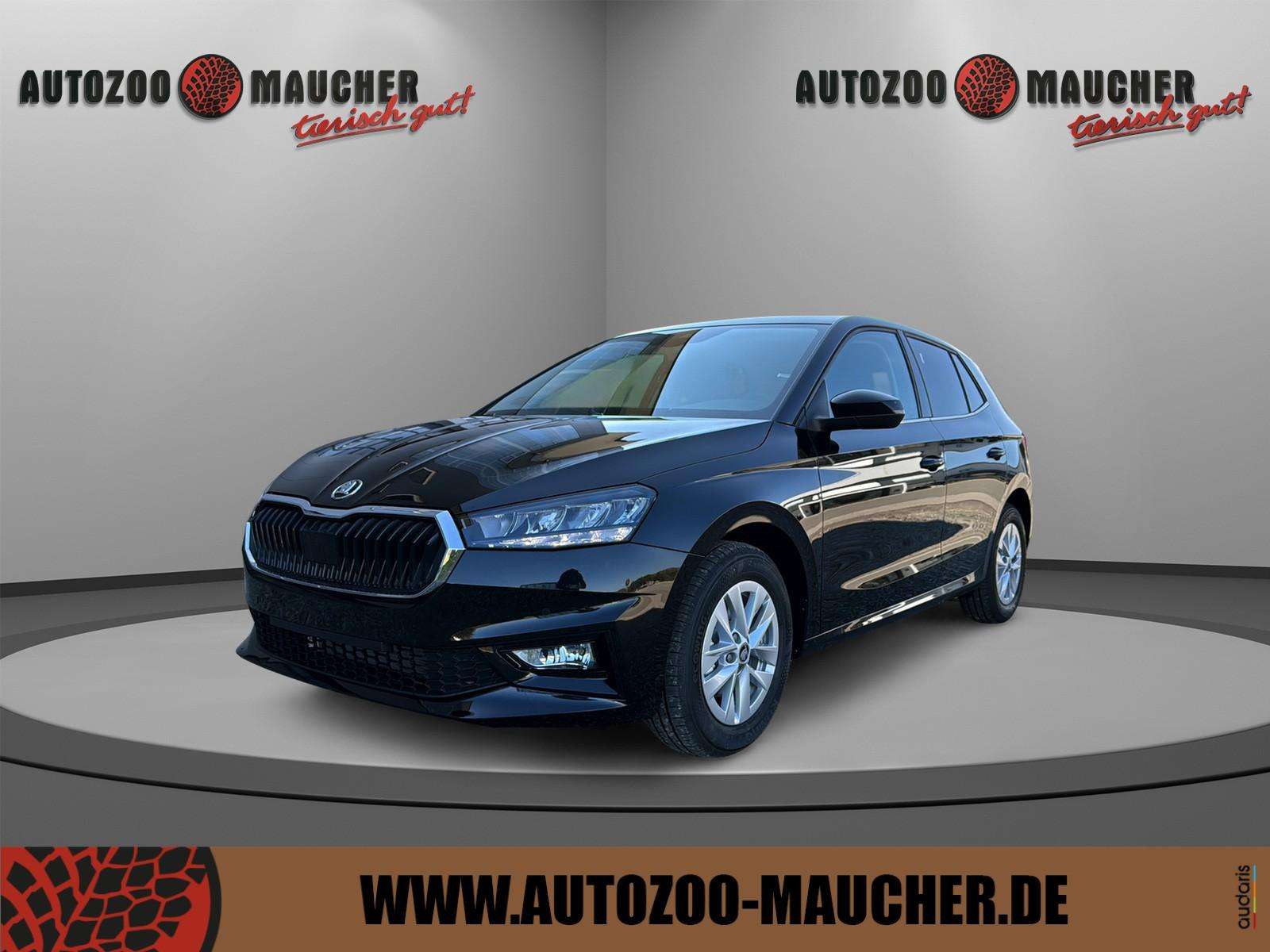 Fahrzeugbild eines Skoda Fabia