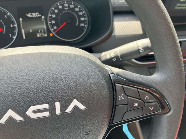 Fahrzeugbild eines Dacia Sandero