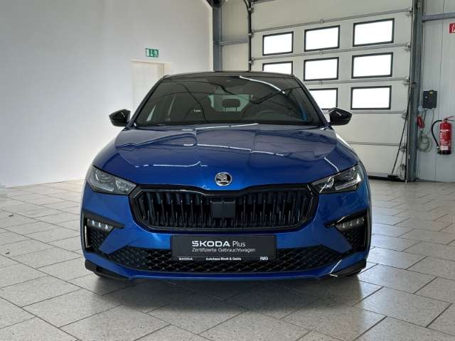 Fahrzeugbild eines Skoda Scala