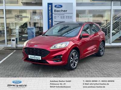Bild Ford Kuga