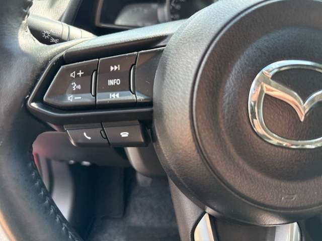 Fahrzeugbild eines Mazda Mazda2