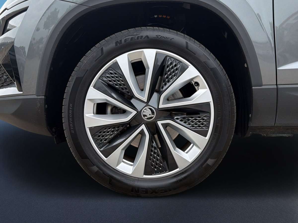 Fahrzeugbild eines Skoda Karoq