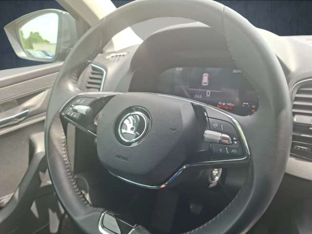 Fahrzeugbild eines Skoda Karoq
