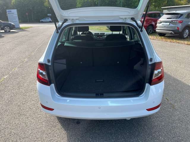 Fahrzeugbild eines Skoda Fabia