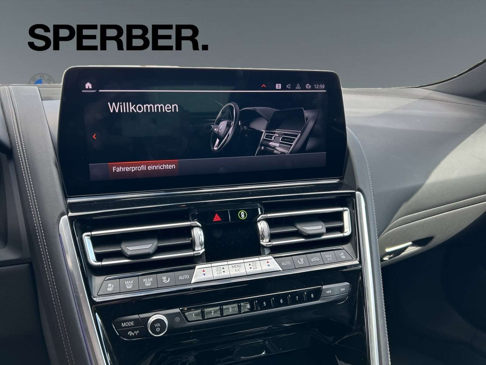 Fahrzeugbild eines BMW 8er-Reihe