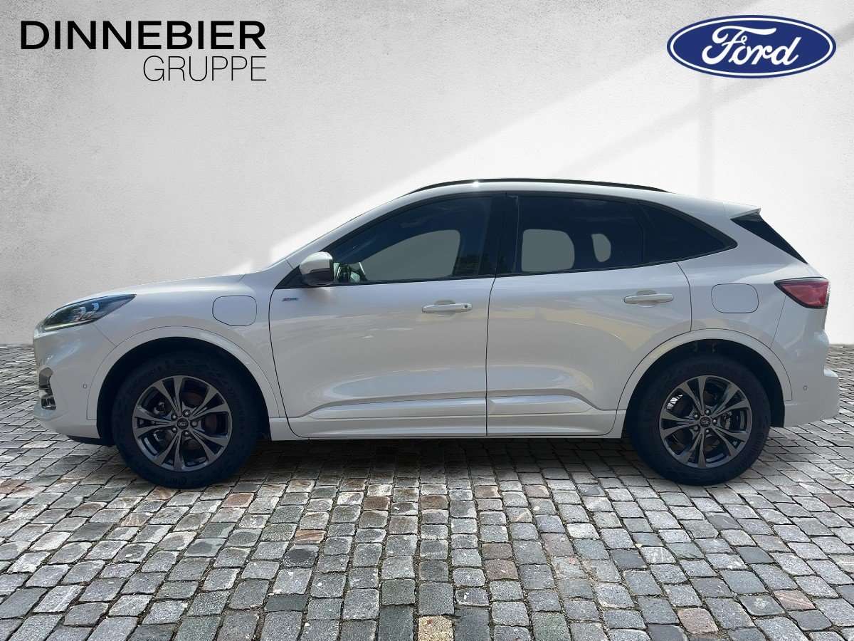 Fahrzeugbild eines Ford Kuga