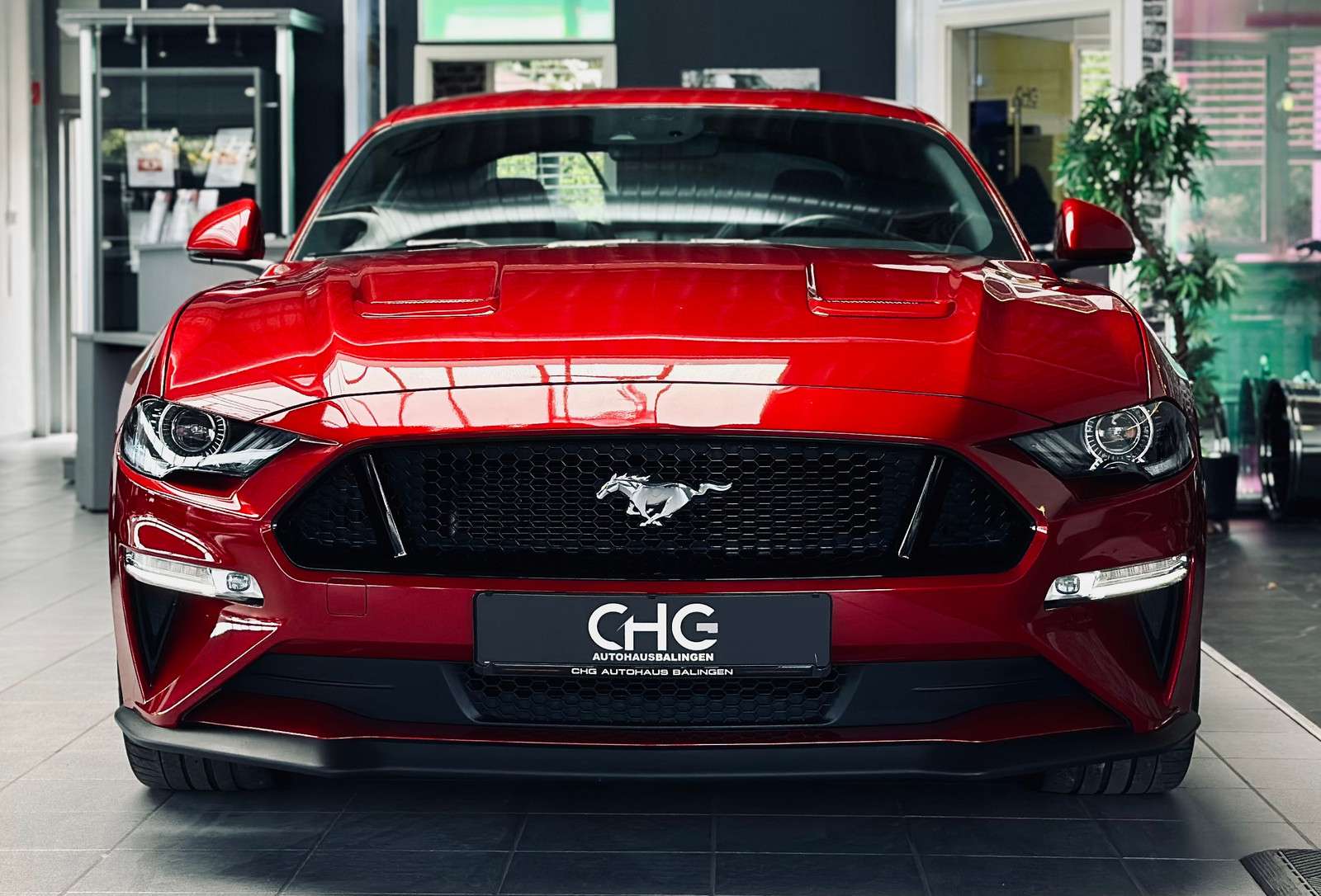 Fahrzeugbild eines Ford Mustang