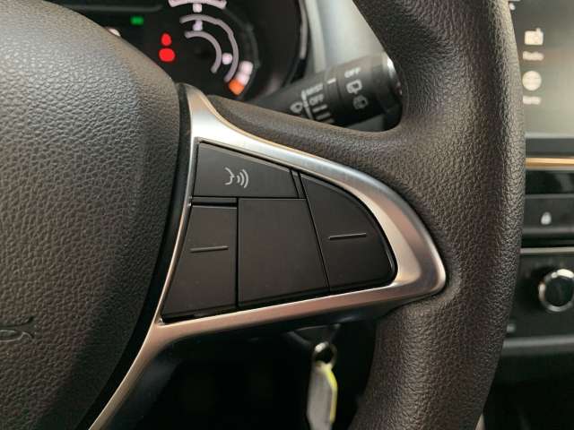 Fahrzeugbild eines Dacia Spring