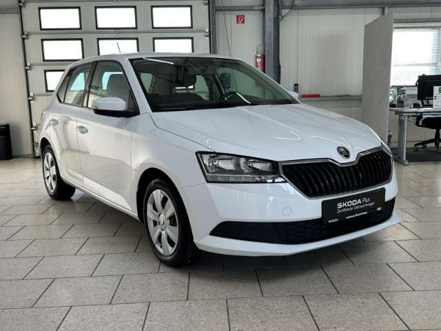 Fahrzeugbild eines Skoda Fabia