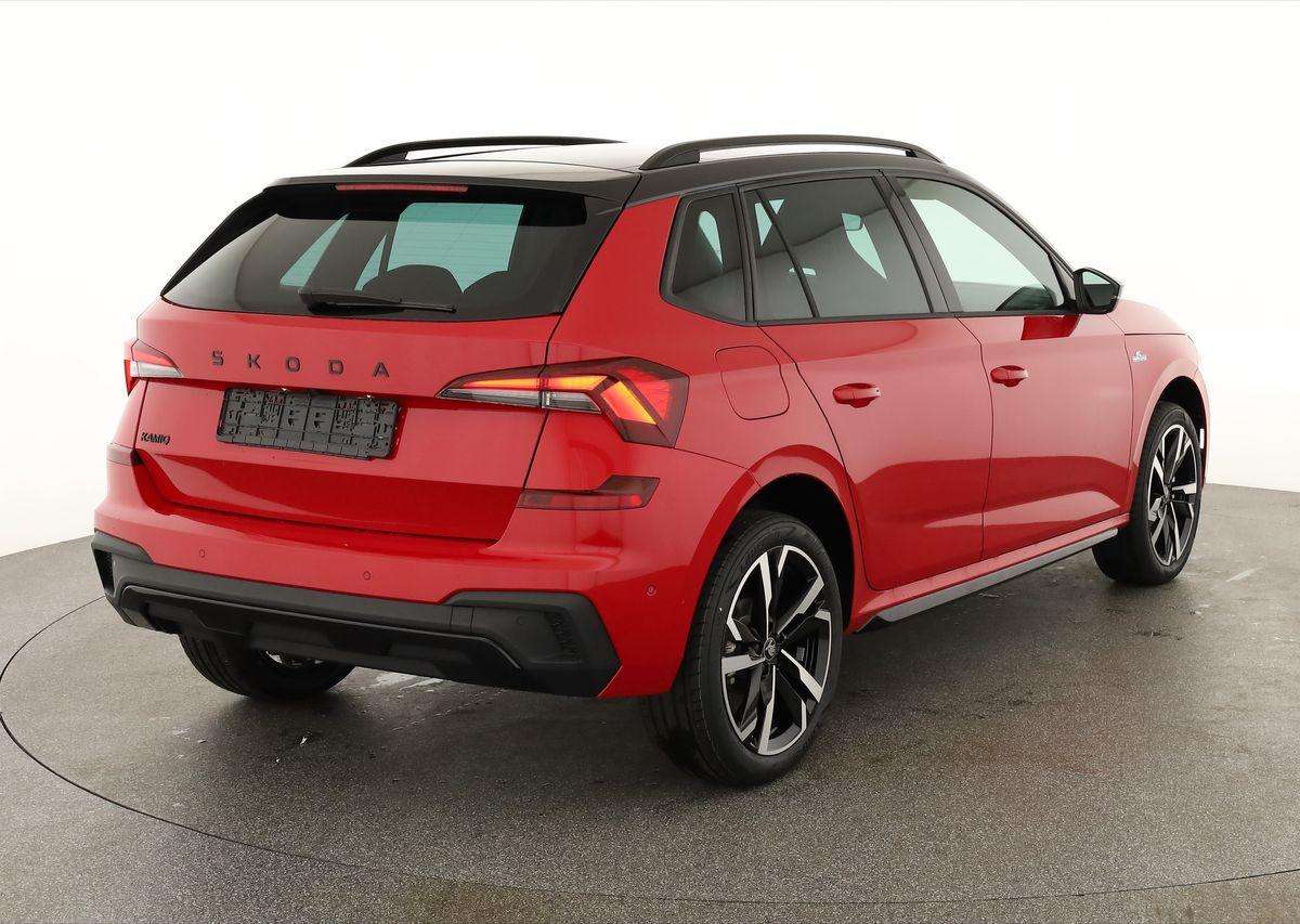 Fahrzeugbild eines Skoda Kamiq