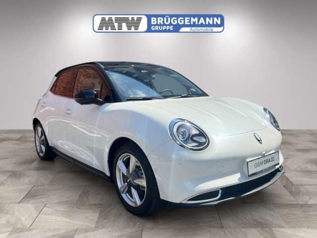 Fahrzeugbild eines GWM Ora 03