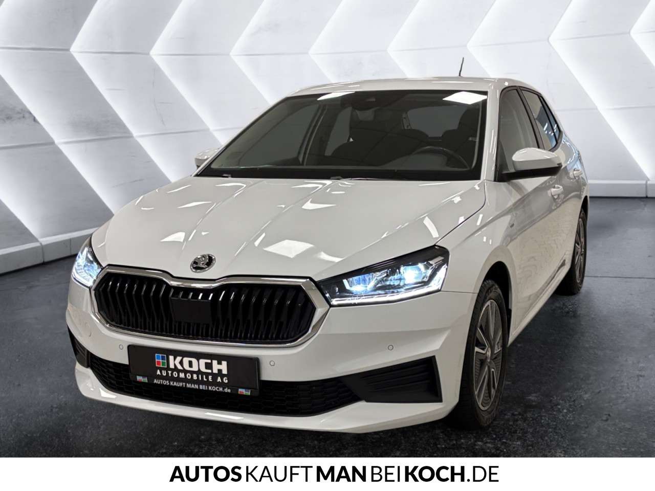 Fahrzeugbild eines Skoda Fabia