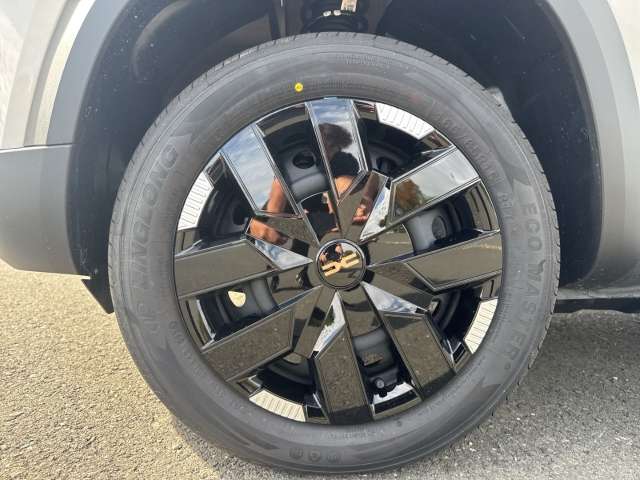Fahrzeugbild eines Dacia Spring