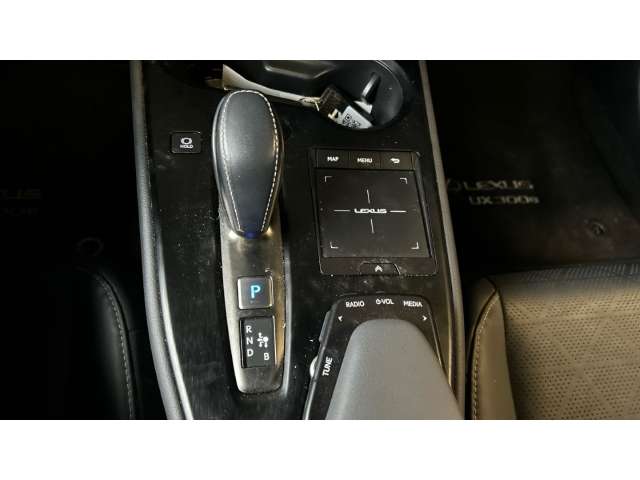 Fahrzeugbild eines Lexus UX