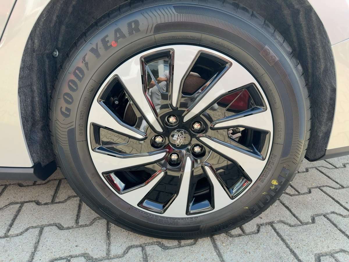 Fahrzeugbild eines Ford Focus
