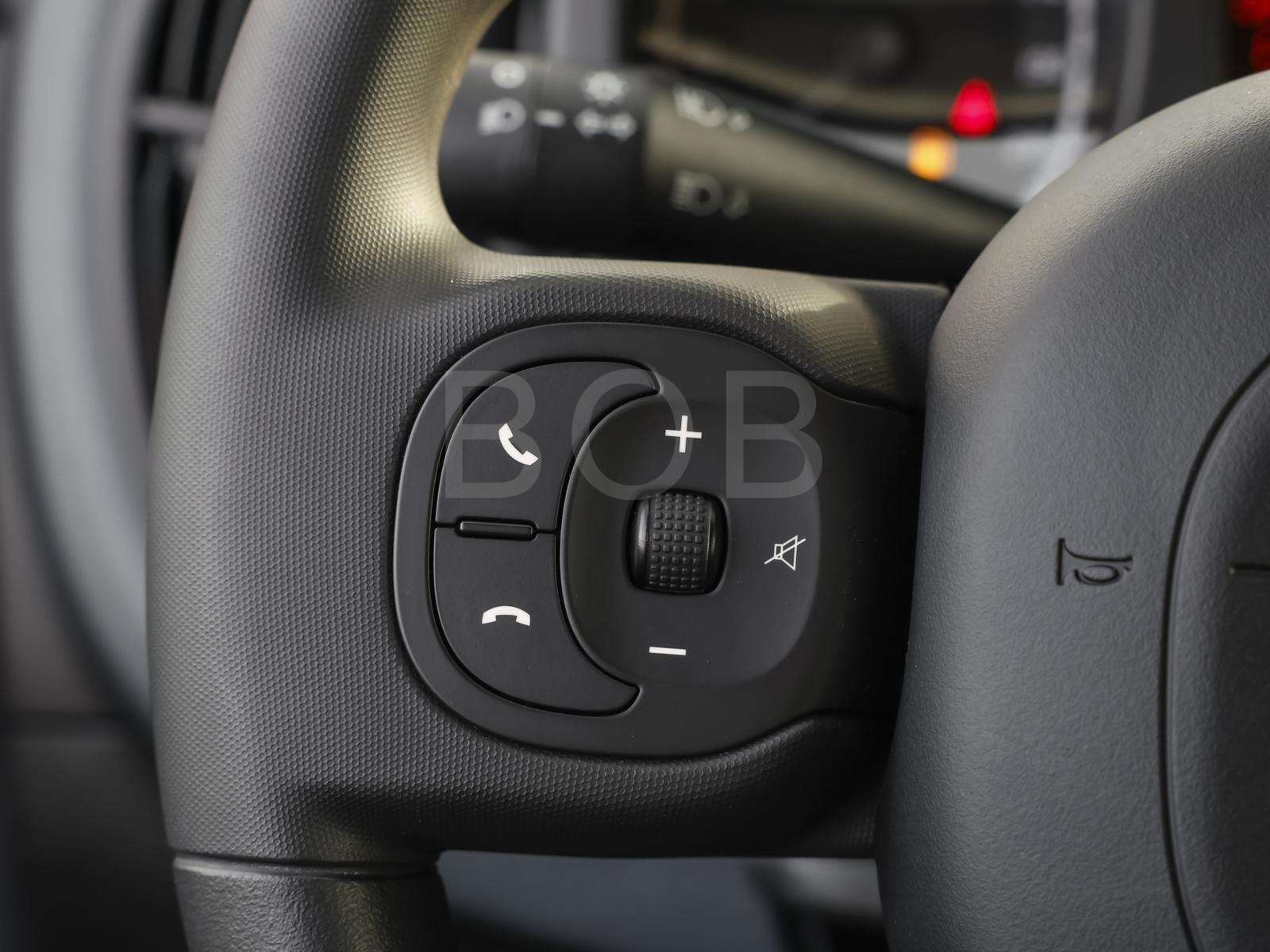 Fahrzeugbild eines Fiat Panda