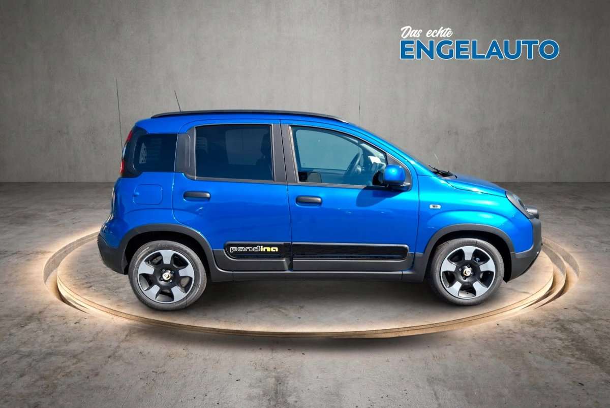 Fahrzeugbild eines Fiat Panda