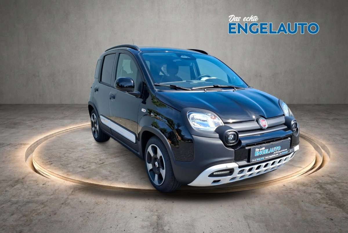 Fahrzeugbild eines Fiat Panda