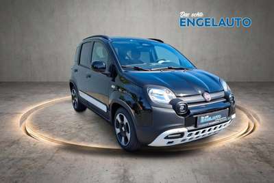 Bild Fiat Panda