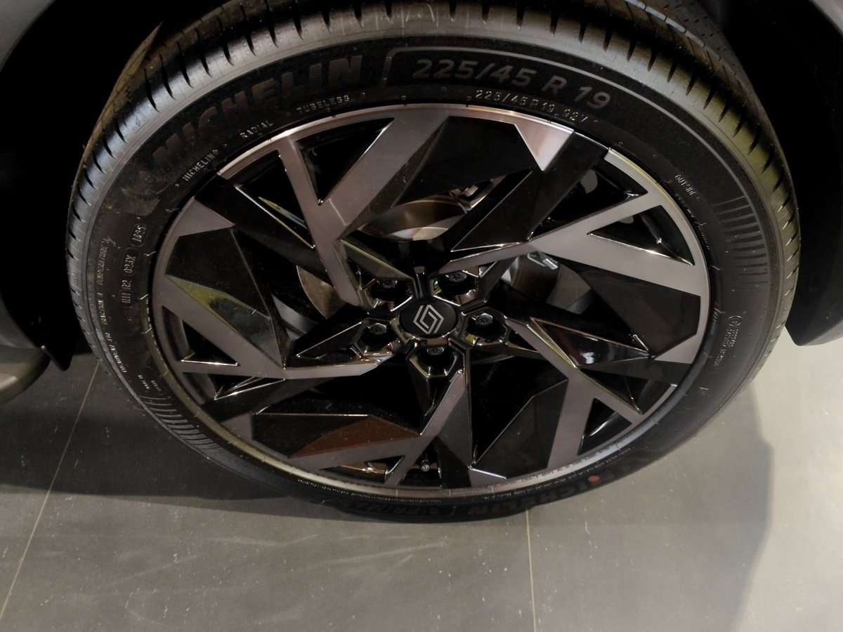 Fahrzeugbild eines Renault Symbioz