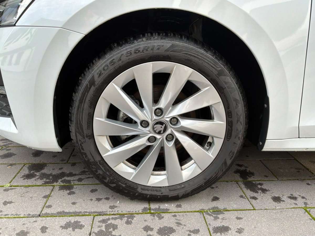 Fahrzeugbild eines Skoda Octavia