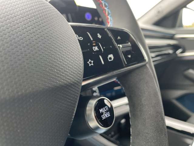 Fahrzeugbild eines Renault Rafale