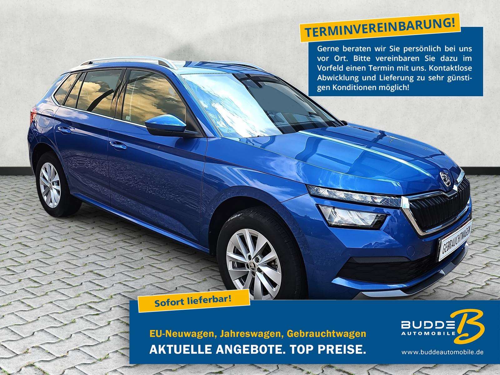 Fahrzeugbild eines Skoda Kamiq