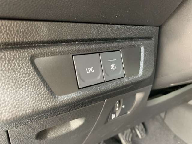 Fahrzeugbild eines Dacia Sandero